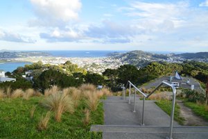 Mont Victoria à Wellington