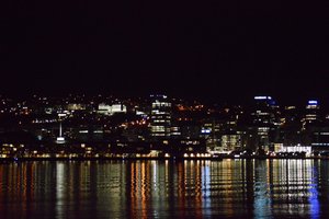 Wellington by nightt