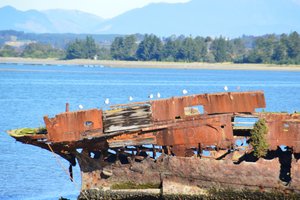 Motueka Ship wreck