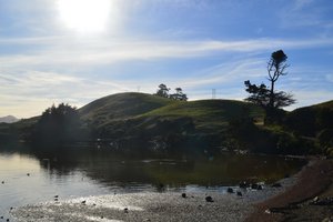 Otago Peninsula_ Portobello