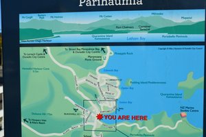Otago Peninsula_ Portobello