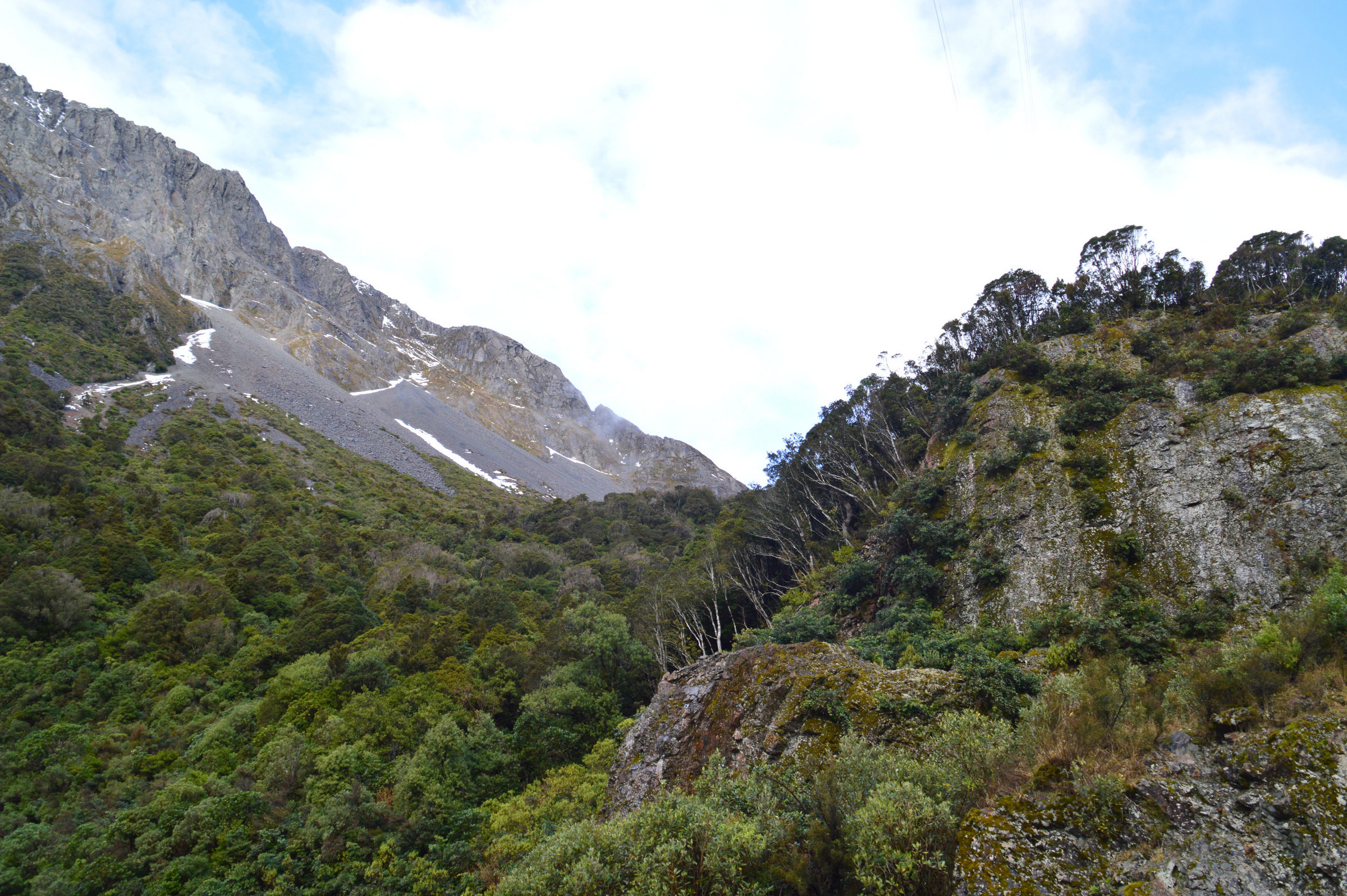 Otira Gorge | Photo