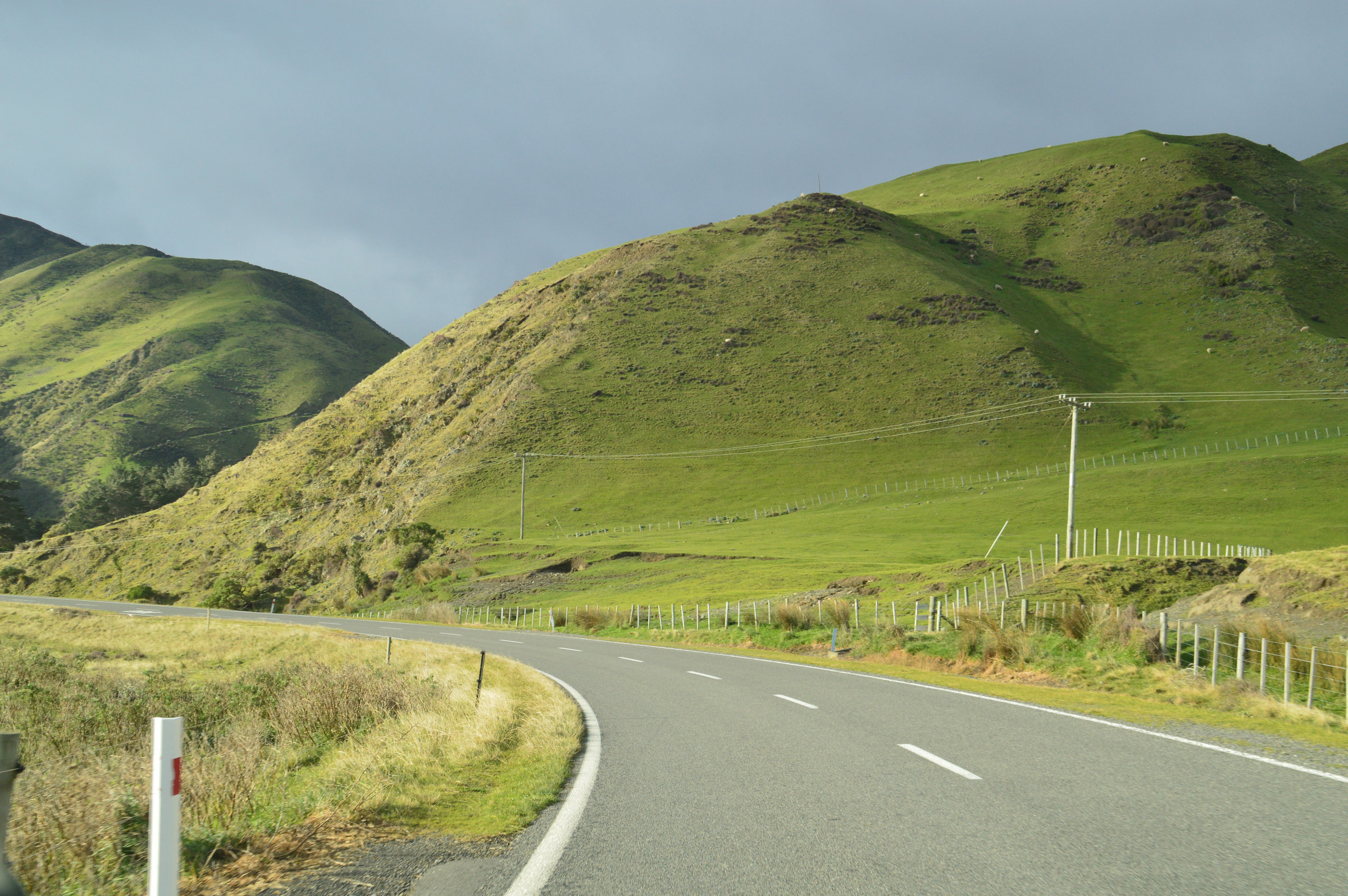 Cape Palliser | Photo