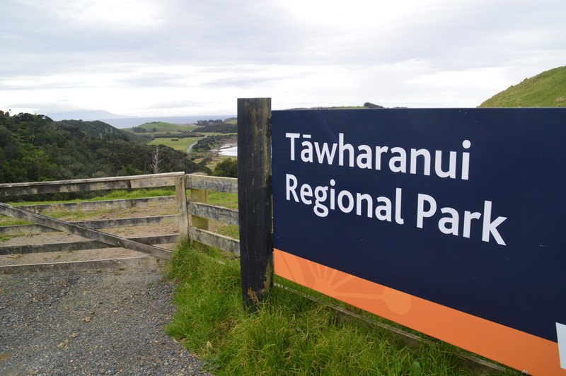 Tawharanui Regional Park