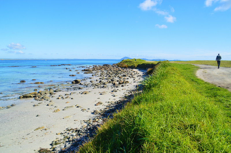 Rangiputa Beach