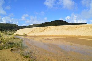 Giant Sand Dunes Te Paki