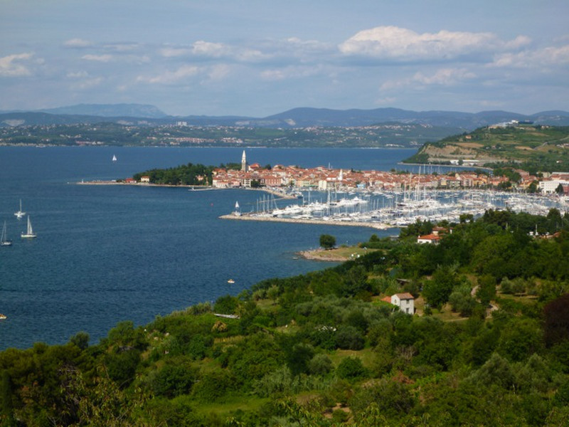 View near Muggia