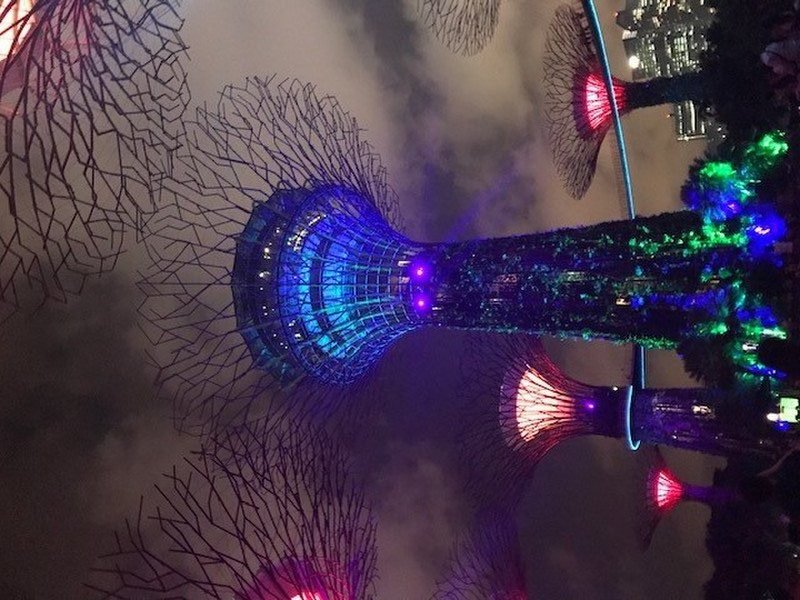 Electric trees of Singapore