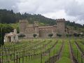 Castle Vineyard 1
