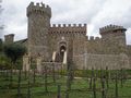 Castle Vineyard 4