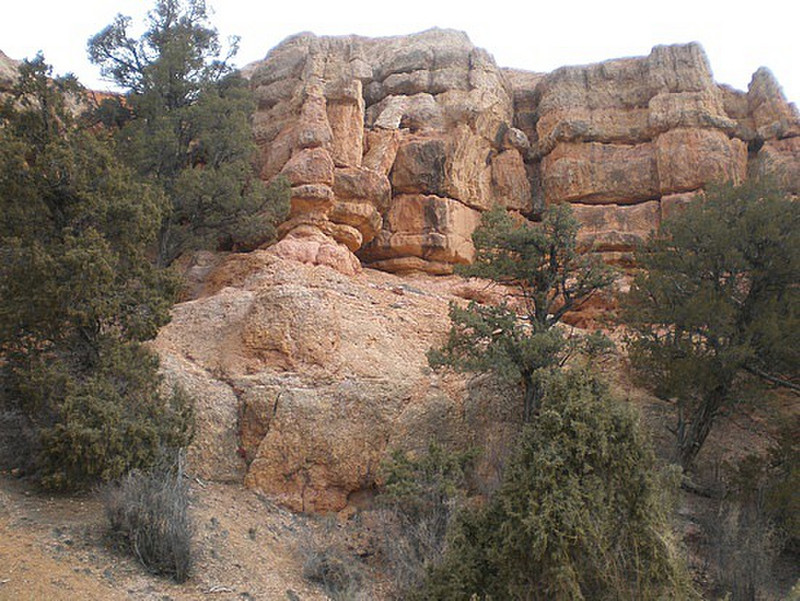 Bryce (Red) Canyon