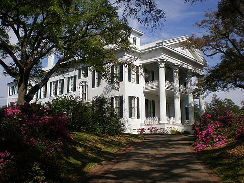 Natchez | Photo