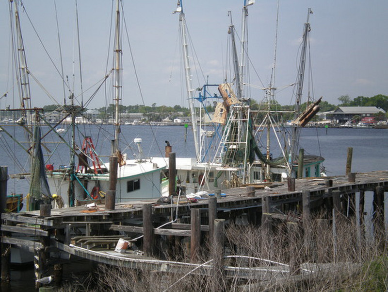 Gulf Coast Fish Boats
