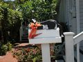Key West - Cat Mailbox