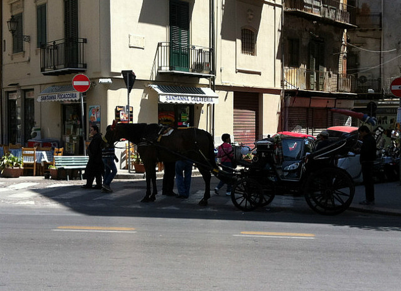 Palermo - Carriage and Horse