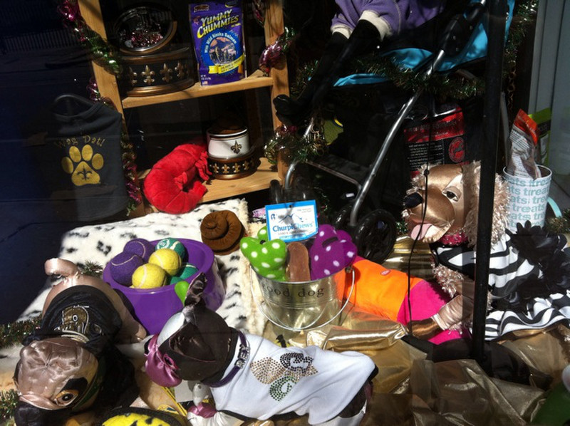 Mardi Gras for Dogs