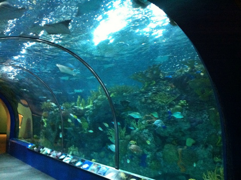 Aquarium Entrance