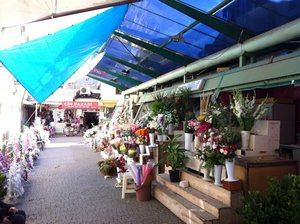 Flower Stalls