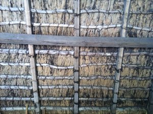 Ribe Viking Museum - Underside of a Thatched Roof