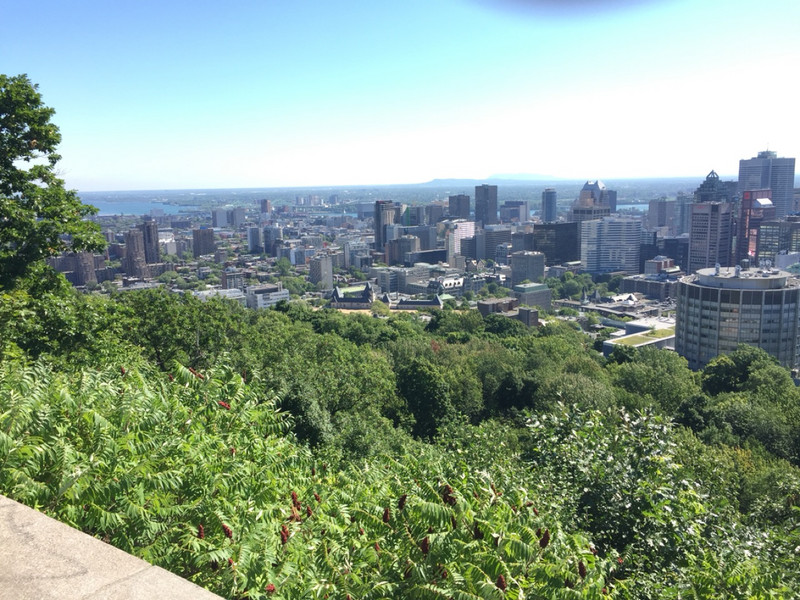 Mount Royal - Montreal View | Photo