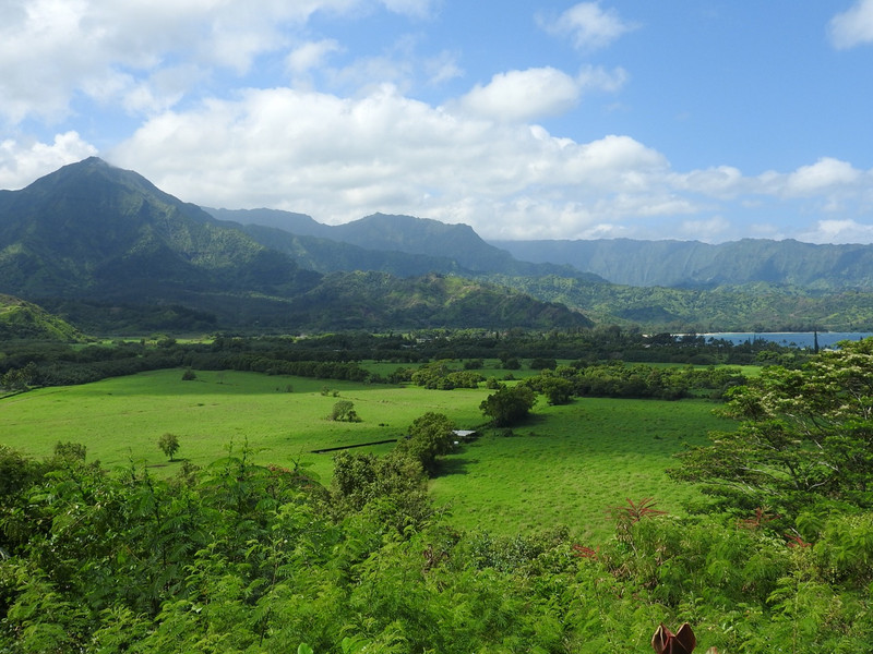 The awesome view from the Hanalei road
