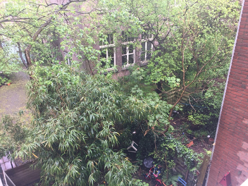 The AirBnB - View from Rear Balcony