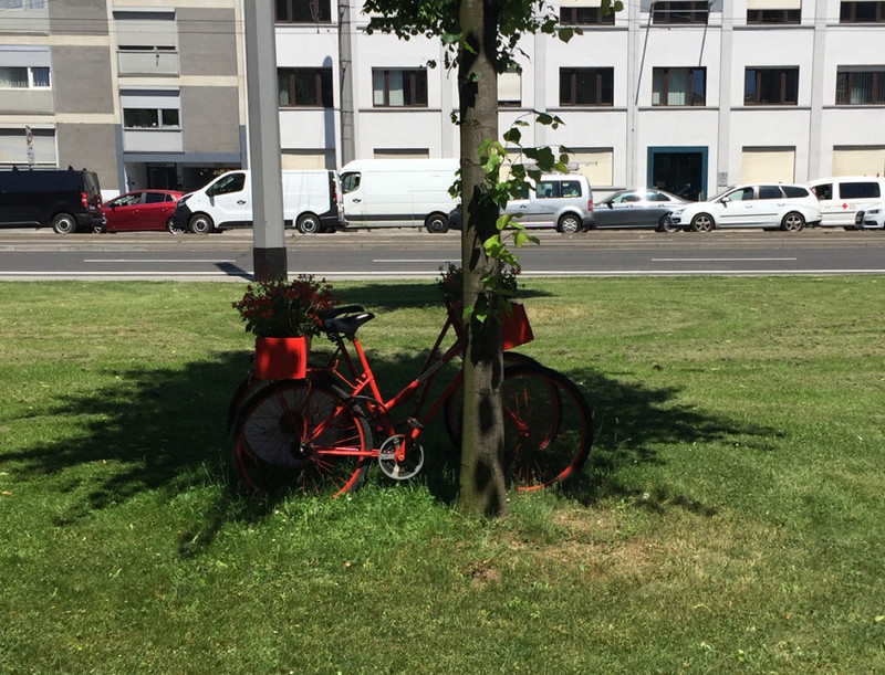Bicycle Planters