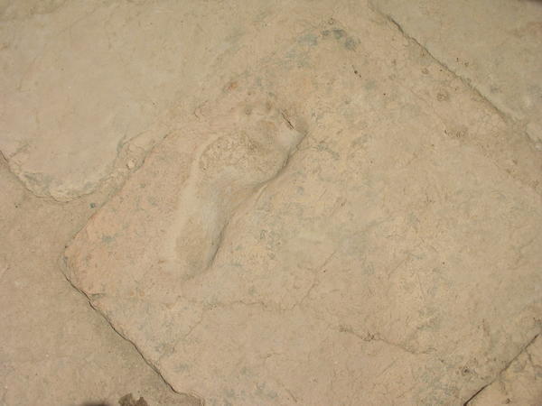 a kid's footprint!