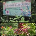 Mamiku Gardens