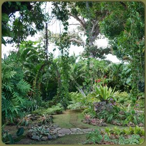 Enchanting Fern Garden - Santiago de Cuba | Travel Blog