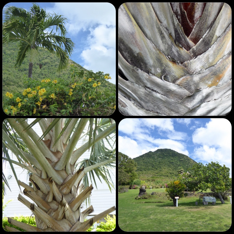 Basseterre St.Kitts