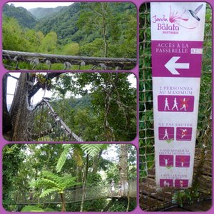 Jardin de Balata  - Treetops walk