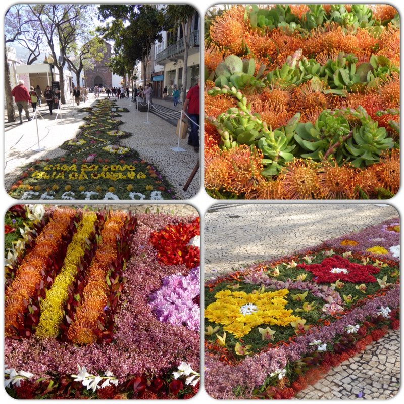Colourful floral carpets 