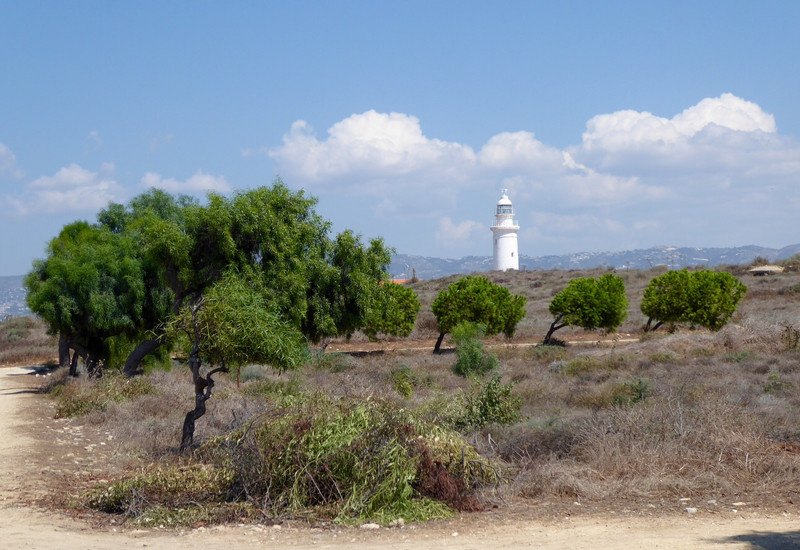 Paphos archaeology site 