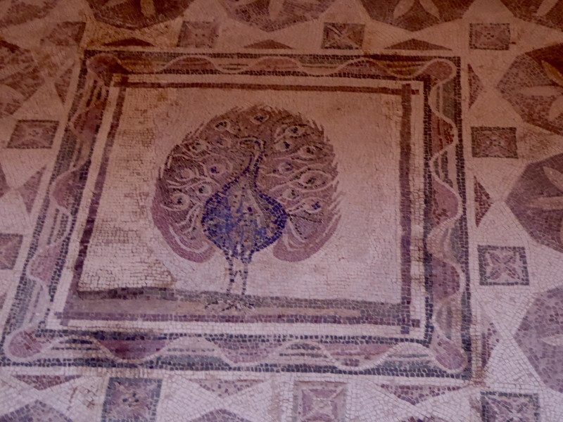 Mosaics in The House of Dionysos