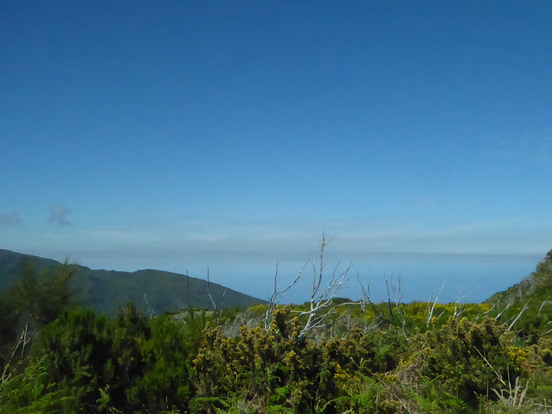 Madeira views