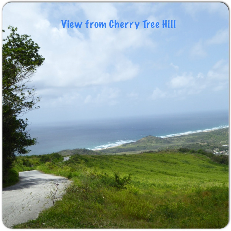Cherry Tree Hill