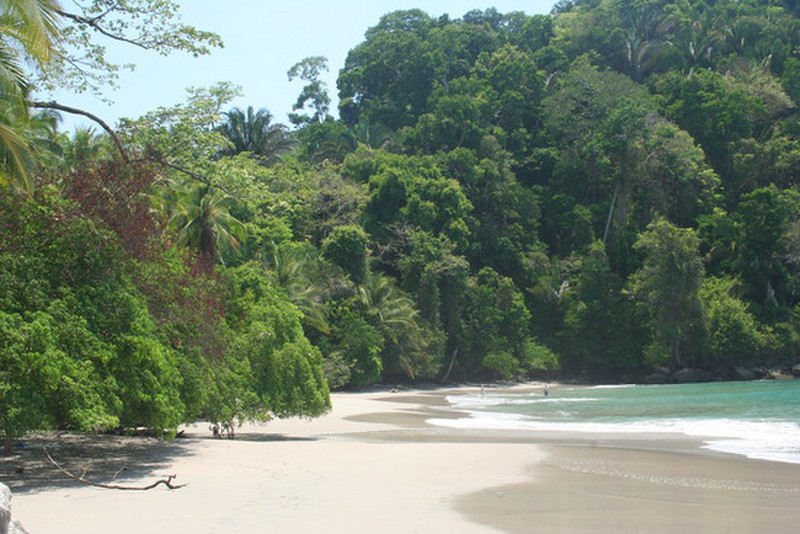a beach at Manuel Antonio