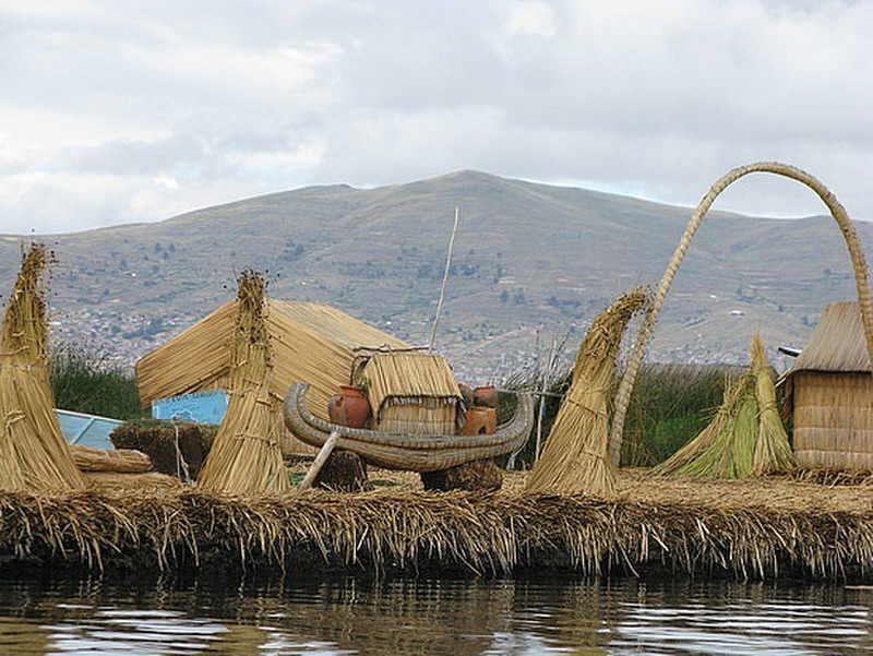 Floating Reed Islands