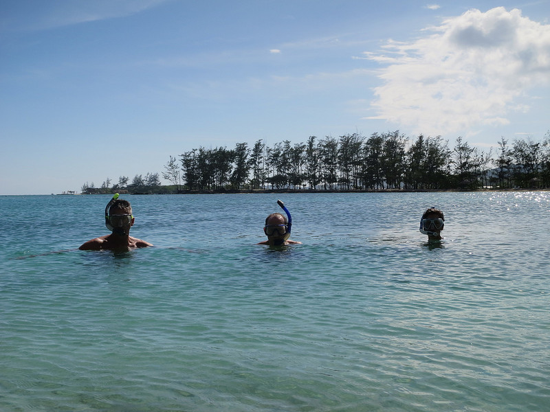 Three snorkelers!