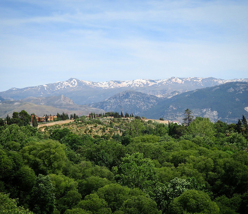 View of Sierra Nevada mountains 