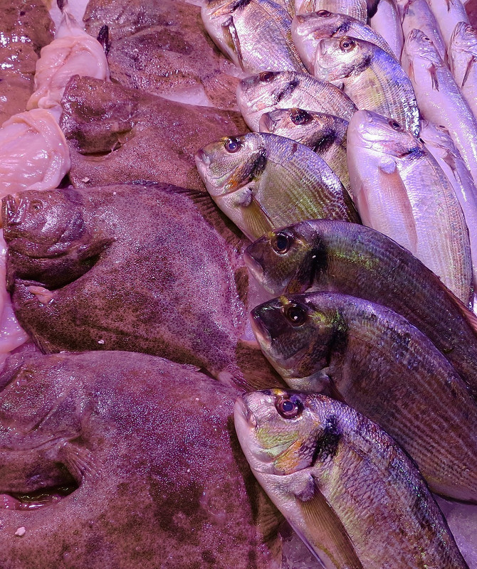 Fresh assortment of fish