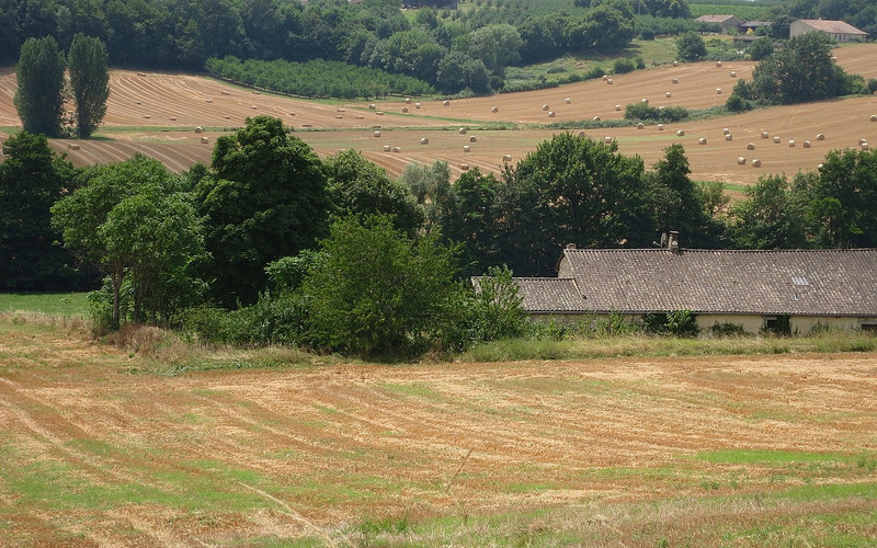 French countryside 