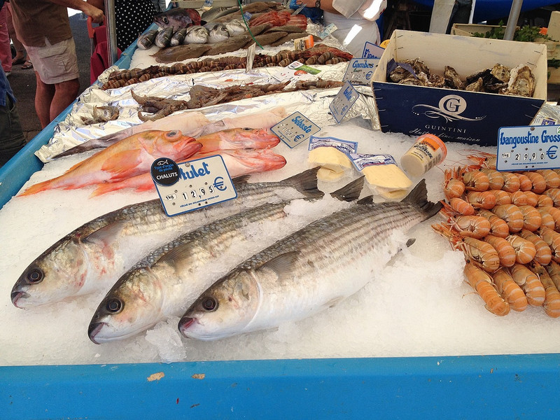 Nice selection of fish