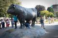 Bull dominates attention on a corner of the Plaza de Armas