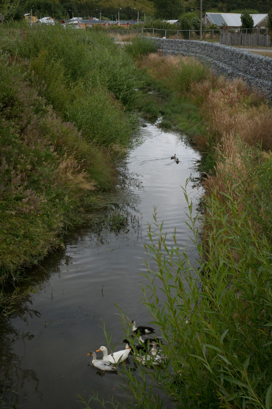 The stream along the edge of town