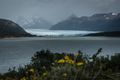 Perito Moreno glacier from the approach road