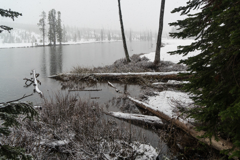 Lewis River in the snow