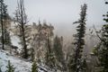 Canyon of the Yellowstone in the snow