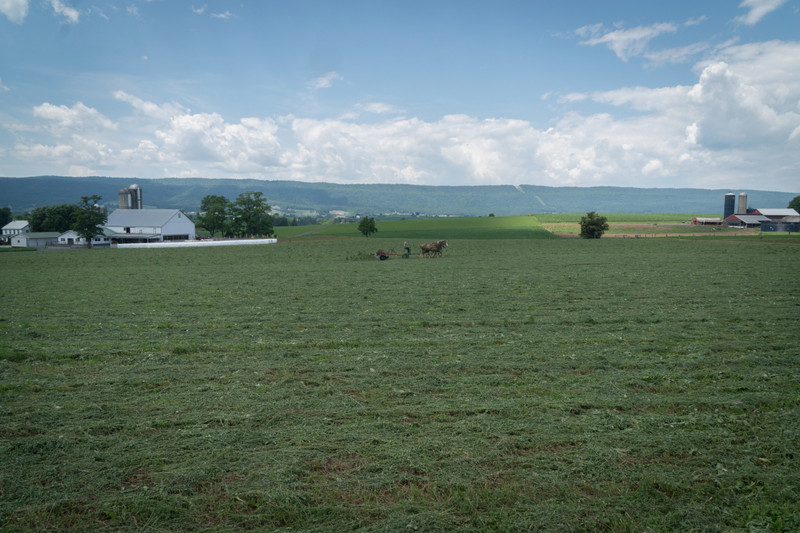 Amish Farm country